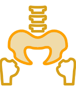 骨格・骨盤矯正